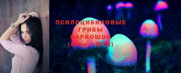 кокс Алексин