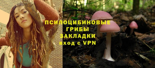 apvp Алзамай
