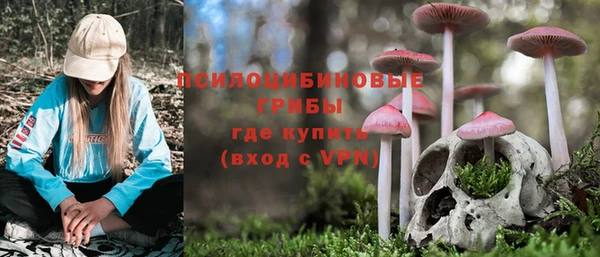 apvp Алзамай