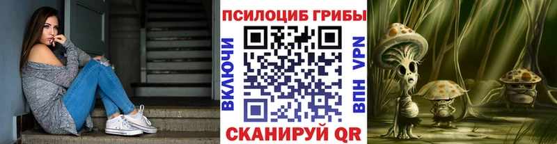 Псилоцибиновые грибы прущие грибы  Севастополь 